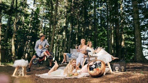 Forest Hotel Videc - Proljeće ili jesen na Pohorju, Pohorje, Slovenija - 239 EUR - 2x noćenje u dvokrevetnoj sobi s pomoćnim ležajem i prostranim balkonom za 2 osobe (1 dijete do 6 godina besplatno), Polupansion