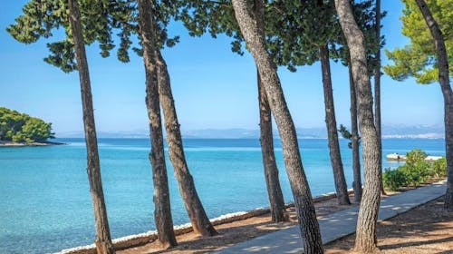 Aminess Vival Velaris Resort - Obiteljsko ljeto na Braču, Supetar, otok Brač, Dalmacija, Hrvatska - 1.176 EUR - 4x noćenje u dvokrevetnoj Superior sobi s balkonom (pogled park) za 2 osobe (1 dijete do 9,99 godina besplatno), Polupansion