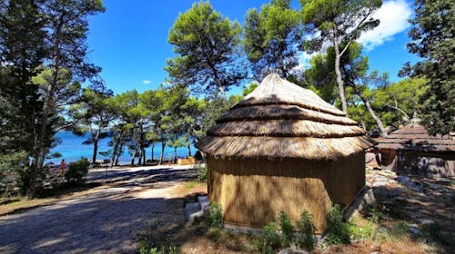 Pine Beach Pakoštane - Obiteljski all inclusive light odmor uz sport i prirodu - Posebna akcija, Pakoštane, Dalmacija, Hrvatska - 771 EUR - 3x noćenje u Comfort bungalovu (bez struje) za 3 osobe (2 djece do 3,99 godina besplatno), All inclusive light
