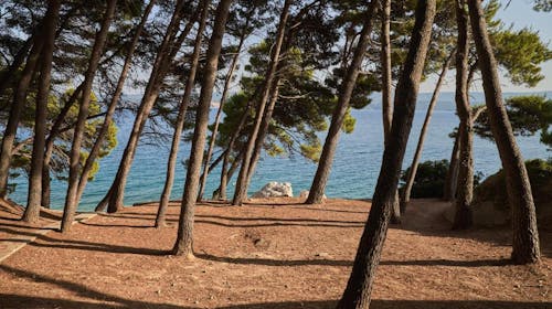 Sagitta Holiday Resort - Obiteljsko ljeto u Omišu - Standard bungalov, Omiš, Dalmacija, Hrvatska - 1.440 EUR - 5x noćenje u Standard bungalovu (2+1) za 2 osobe (1 dijete do 13,99 godina i 1 dijete do 7,99 godina besplatno), All inclusive
