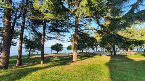 Youth Hostel Pinesta - Ljeto u Novigradu, Novigrad, Istra, Hrvatska - 214 EUR - 2x noćenje u dvokrevetnoj twin sobi (s jednostrukim krevetima) za 2 osobe, Doručak