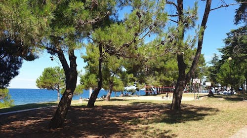 Youth Hostel Pinesta - Ljeto u Novigradu, Novigrad, Istra, Hrvatska - 313 EUR - 3x noćenje u dvokrevetnoj twin sobi (s jednostrukim krevetima) za 2 osobe, Doručak
