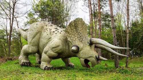 Dinopark Bled - Obiteljska ulaznica, Lesce, Slovenija - 25,90 EUR - 1x obiteljska ulaznica za Dinopark (za 2 odrasle osobe i maksimalno 3 djece do 15 godina), Korištenje 6D Dinokina