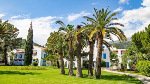 Hotel Slovenska plaža - Kaj ljeta u Budvi, Budva, Crna Gora - 523 EUR - 3x noćenje u Standard dvokrevetnoj sobi s dodatnim ležajem i balkonom za 3 osobe, Polupansion (buffet doručak i večera)
