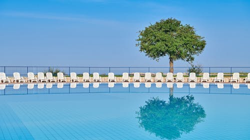 Apartmani Polynesia Plava Laguna - Ljeto u Istri uz polupansion, Umag, Istra, Hrvatska - 558 EUR - 3x noćenje u Studio Economy apartmanu 2+1 strana park za 2 osobe (dijete do 4,99 godina besplatno), Polupansion (doručak i večera)