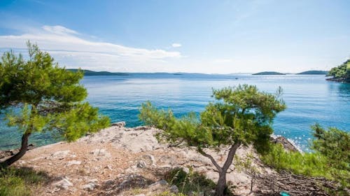 Hotel Lavanda - Obiteljski odmor na Dugom otoku, Božava, Dalmacija, Hrvatska - 1.688 EUR - 7x noćenje u Standard sobi s pogledom na more i balkonom za 2 osobe (2 djece do 11,99 godina besplatno), Polupansion (buffet doručak i večera)