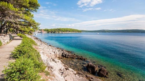 Hotel Lavanda - Obiteljski odmor na Dugom otoku, Božava, Dalmacija, Hrvatska - 476 EUR - 3x noćenje u Standard sobi s pogledom na more i balkonom za 2 osobe (2 djece do 11,99 godina besplatno), Polupansion (buffet doručak i večera)