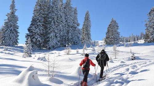 Landidyll Hotel Nudelbacher - Zimski odmor u Kärntenu, Feldkirchen in Kärnten, Austrija - 759 EUR - 5x noćenje u dvokrevetnoj sobi s balkonom za 2 osobe, Polupansion